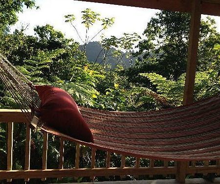 Villa Roots Jungle Retreat Marigot Esterno foto