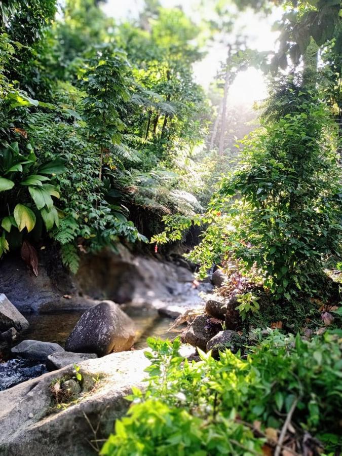 Villa Roots Jungle Retreat Marigot Esterno foto