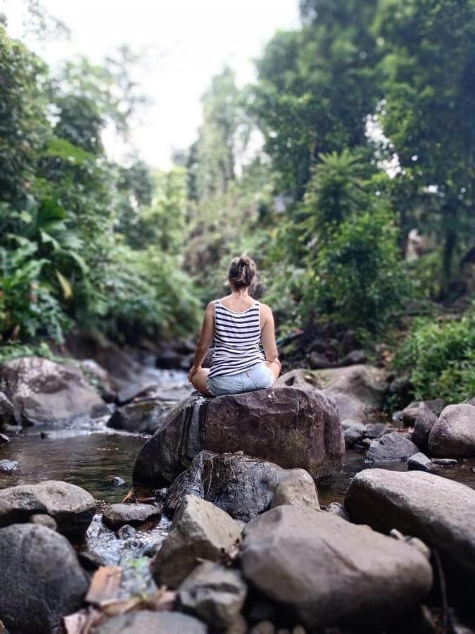 Villa Roots Jungle Retreat Marigot Esterno foto