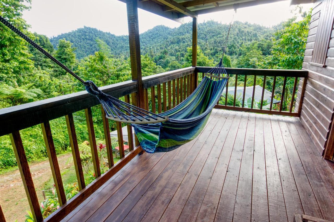 Villa Roots Jungle Retreat Marigot Esterno foto