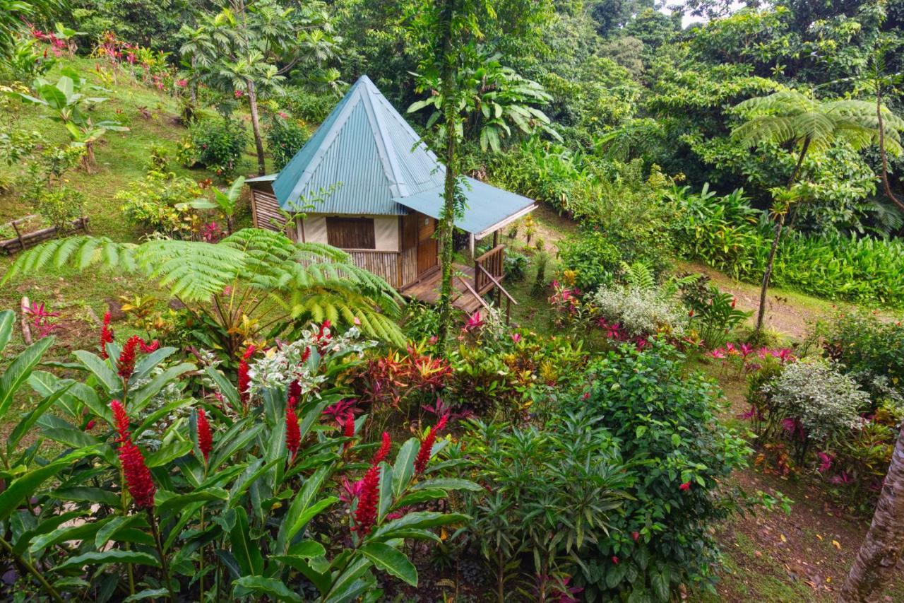 Villa Roots Jungle Retreat Marigot Esterno foto