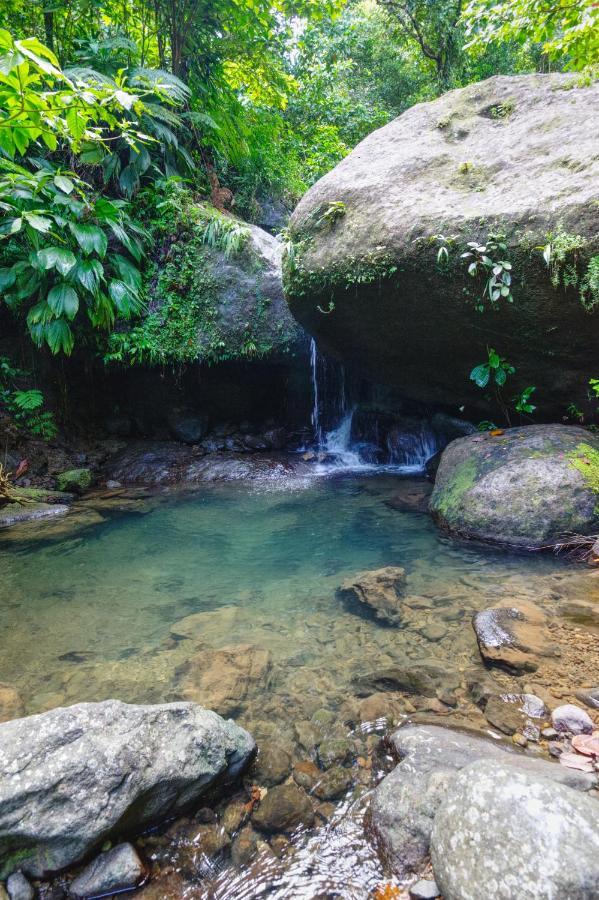 Villa Roots Jungle Retreat Marigot Esterno foto
