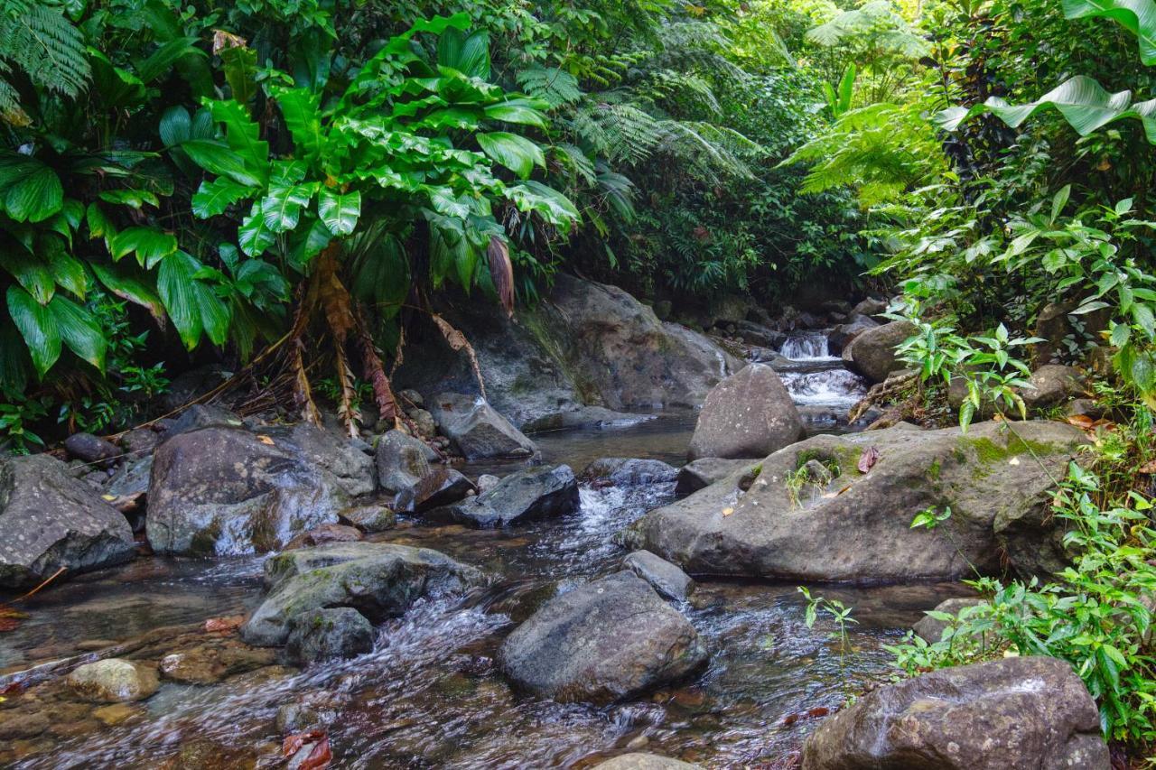 Villa Roots Jungle Retreat Marigot Esterno foto