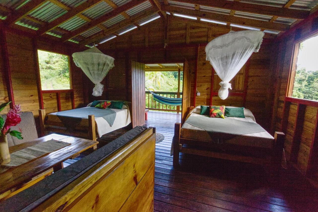 Villa Roots Jungle Retreat Marigot Esterno foto