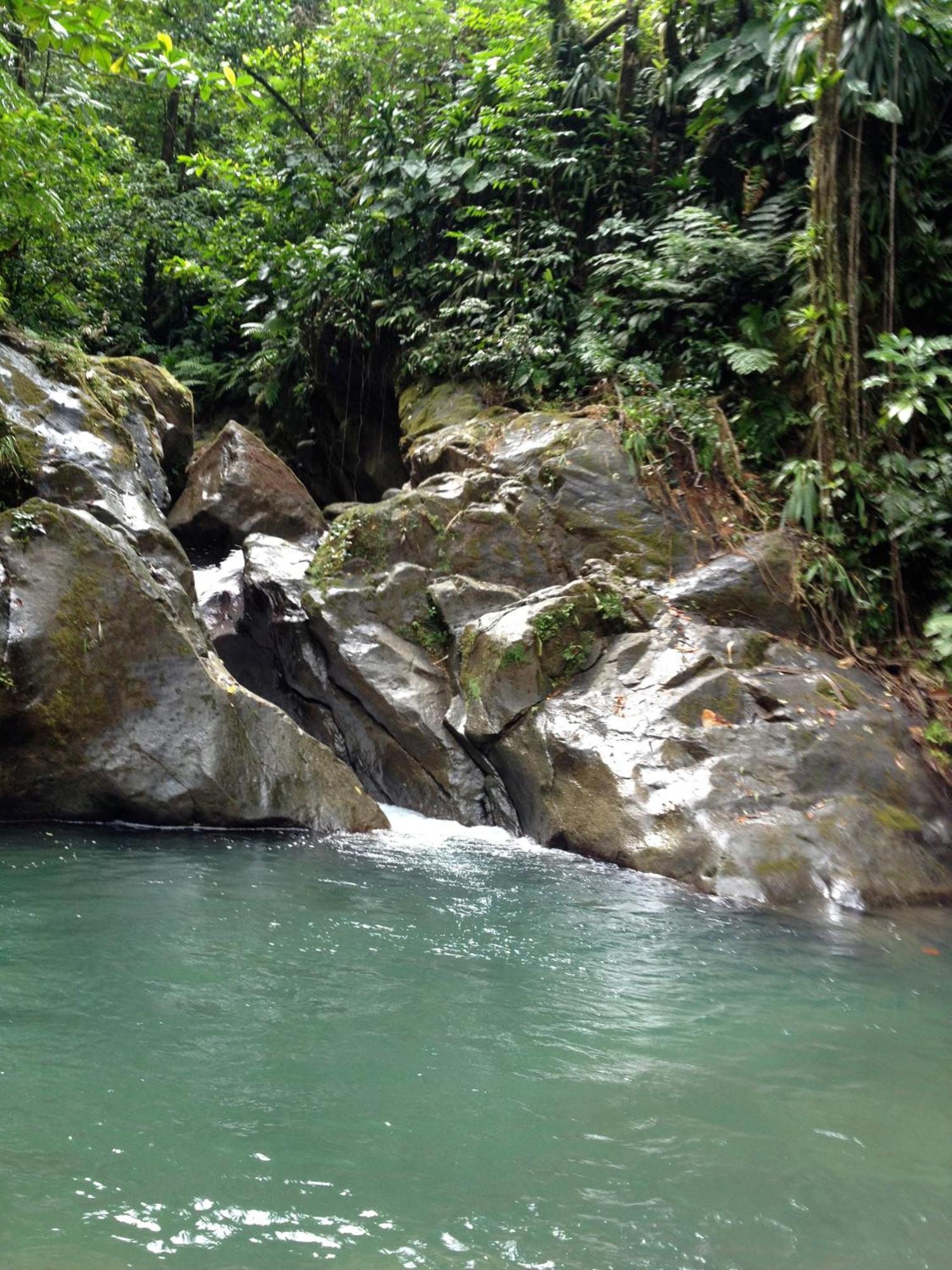 Villa Roots Jungle Retreat Marigot Esterno foto
