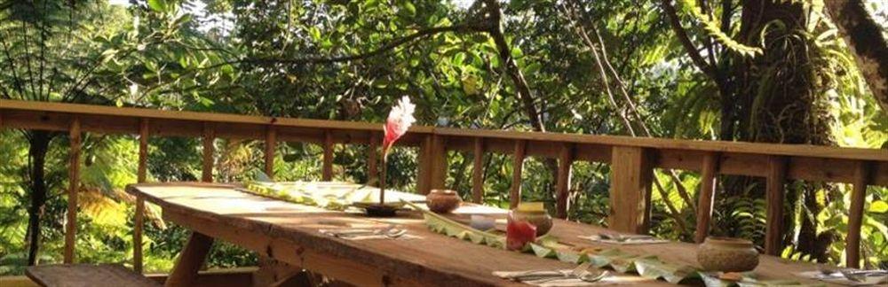 Villa Roots Jungle Retreat Marigot Esterno foto
