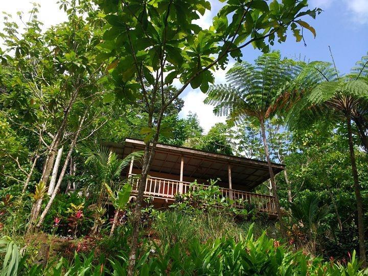 Villa Roots Jungle Retreat Marigot Esterno foto