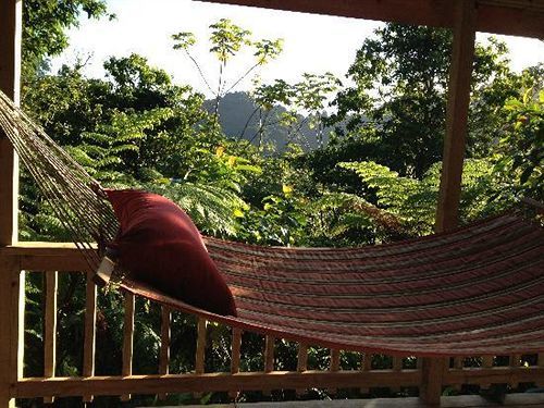 Villa Roots Jungle Retreat Marigot Esterno foto