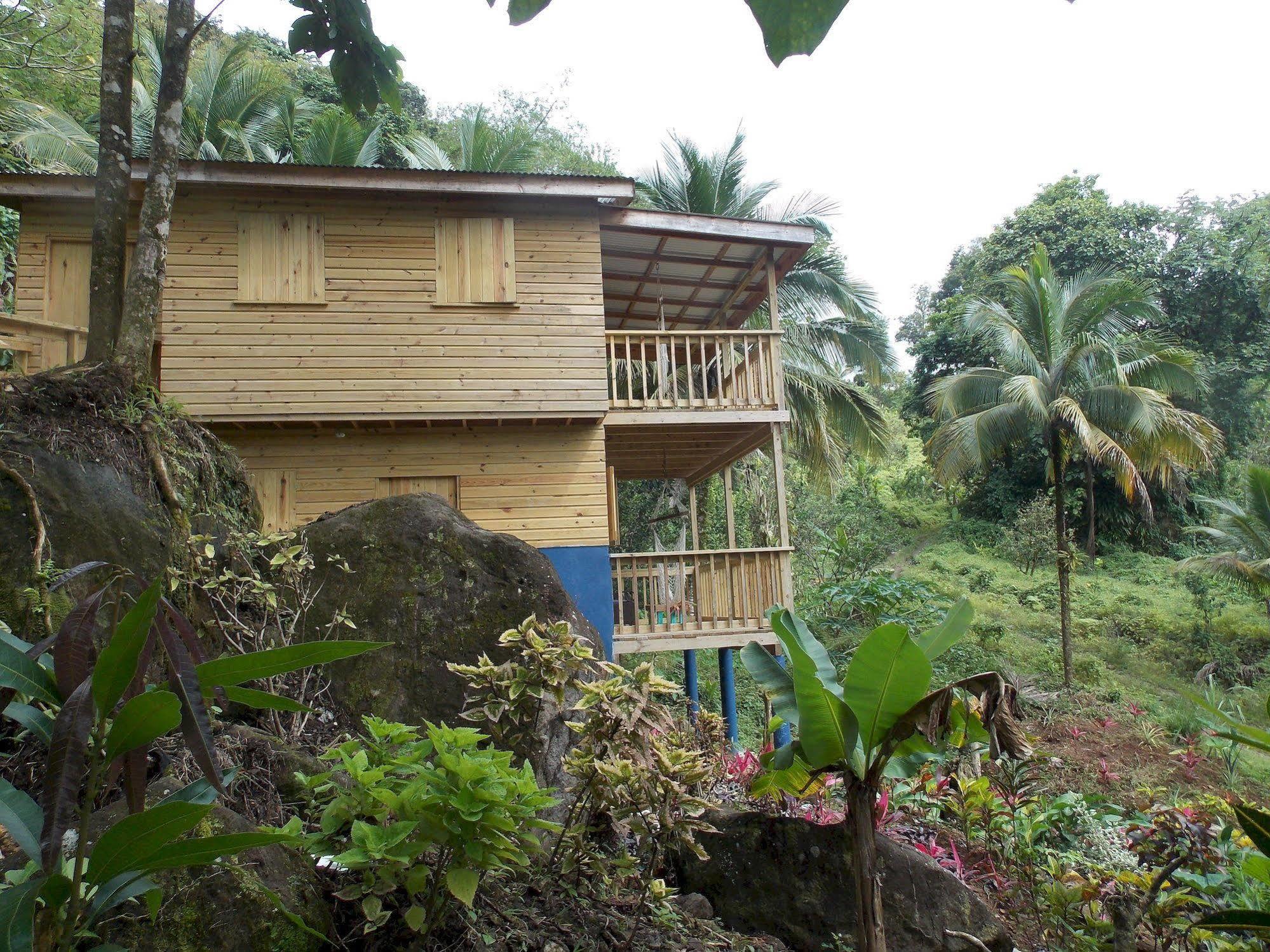 Villa Roots Jungle Retreat Marigot Esterno foto