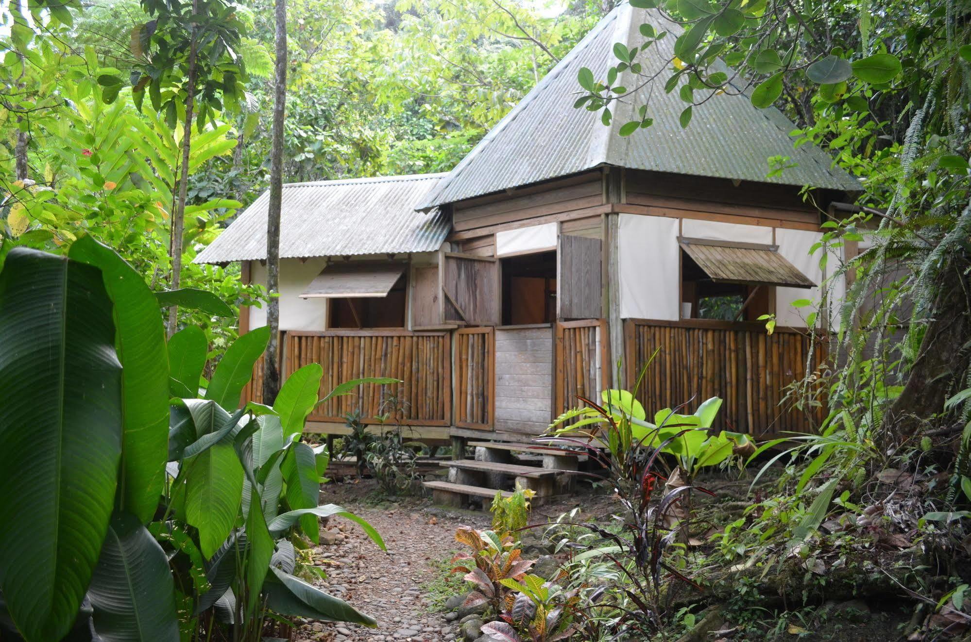 Villa Roots Jungle Retreat Marigot Esterno foto