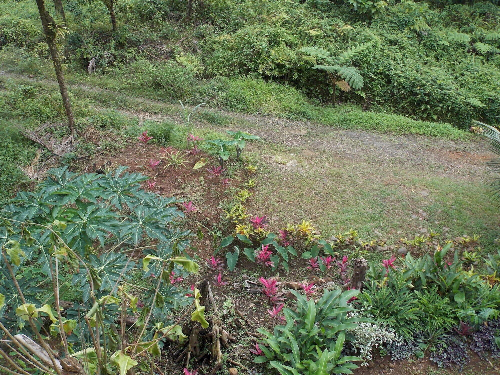 Villa Roots Jungle Retreat Marigot Esterno foto