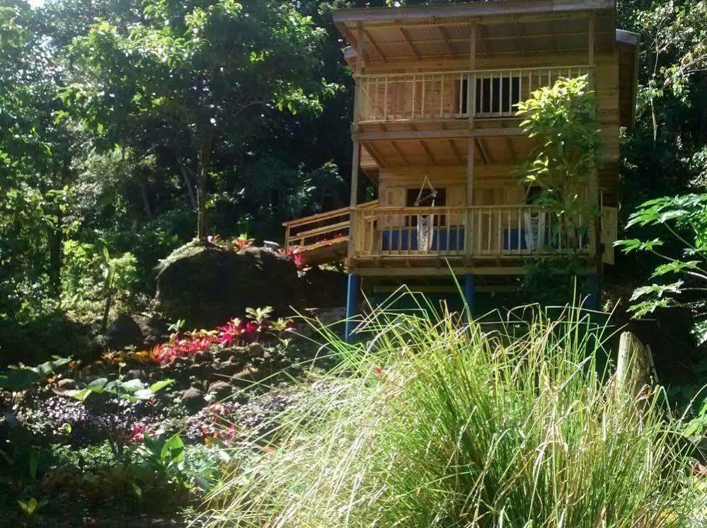 Villa Roots Jungle Retreat Marigot Esterno foto